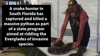 Everglades Snake Hunter Captures, Kills Massive Python