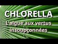 Chlorella : L'algue aux vertus insoupçonnées ? On en parle avec Muriel Cathaud