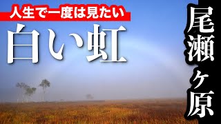 【尾瀬】幻の白い虹の撮影に成功！秋の尾瀬ヶ原