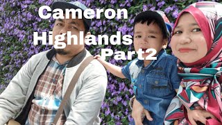 Cameron Highlands/ Part 2 / Kea Farm tempat untuk semua jualan..Agro market banyak bunga