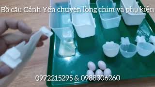 Phụ kiện cho chim bồ câu