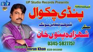 Pindi Chakwal#Shahzada Punu Khan#New HD Sariki Songs 2020#HD Punjabi Song#UP Studio Records