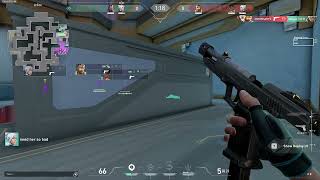 NEW bandit ace