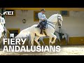 Something for the bucket list: The 👑 Andalusian School of Equestrian Art |RIDE presented by Longines