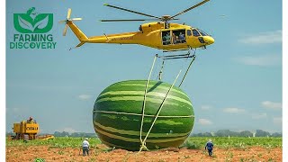 10 Most Satisfying Agriculture Machines and Ingenious Tools ▶ 12