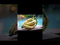 PISANG BISA ATASI MASALAH ASAM LAMBUNG #pisang #banana #trendingshorts #asamlambung