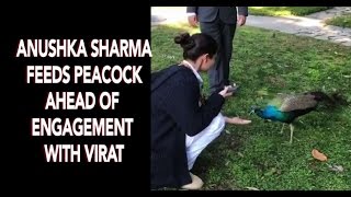 Anushka Sharma Virat Kohli engagement: Anushka feeds peacock before ceremony