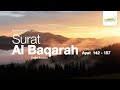 Murotal Surat Al Baqarah Ayat 142 - 157 | Fadhil Ibrahim