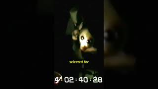 The Alien Interview released in 1997 - clip of alien in distress