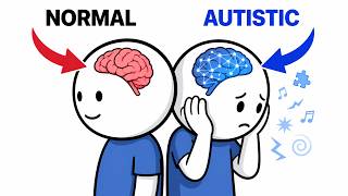 How Does an Autistic Brain Work?