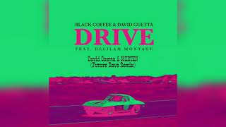 Black Coffee And David Guetta ft Delilah Montagu - drive david Guetta And Morten future Rave Remix
