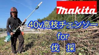 高枝チェンソーで伐採はできるか？！　18vスプリット式草刈機でシュレッダーブレードはつかえるか？！　マキタチェンソー　18v草刈機