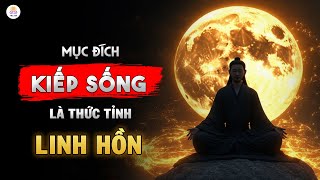 Lý Do DUY NHẤT Bạn Đến Trái Đất Là Thức Tỉnh Linh Hồn