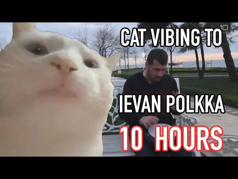 Cat Vibing To Ievan Polkka 10 Hours Catjam Vibing Cat Know Your Meme Cat Vibing To Ievan Polkka 10 Hours Catjam Vibing Cat Know Your Meme