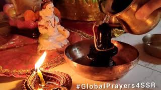 Global prayers for Sushant Singh Rajput - sushant Singh Rajput jai jai shiv shambhu