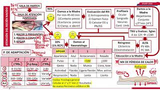 ATENCION DEL RECIEN NACIDO- NEONATOLOGIA PARTE 1- ENAM