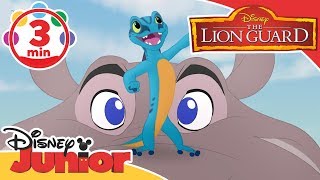 The Lion Guard | Give a Little Guy a Chance Song 🎶 | Disney Junior UK