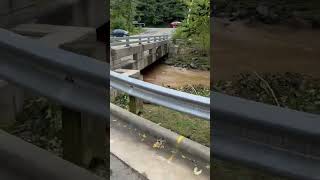 Community Rallies to Clear Fallen Trees After Storm