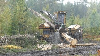 Forest Machine Oldies - Giants from the past