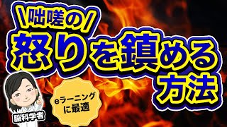 アンガーマネジメント前半｜咄嗟の怒りを鎮める方法　#脳科学者