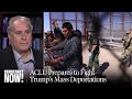 ACLU Attorney Lee Gelernt on How Rights Groups Are Preparing to Fight Trump's Mass Deportations