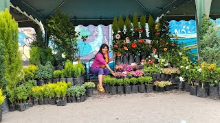 Visitando la feria de Pacata-Cochabamba