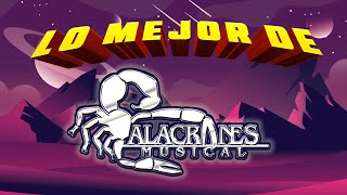 Lo Mejor De Alacranes Musical