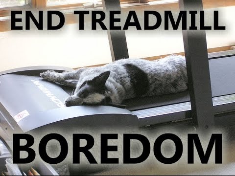 How to Avoid Treadmill Boredom While Running How to Avoid Treadmill Boredom While Running