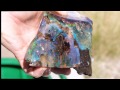 Opal with sillicated/petriefied wood  specimen from Virgin Valley, Nevada