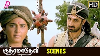 Rudhramadevi Tamil Movie | Scenes | Anushka warns Suman | Hamsa befriends Vikramjeet