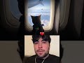 MR BOMBASTIC CAT IN PLANE #edit #memes #cat