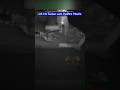 U.S. Navy Stops Oil Tanker with Hellfire Missile!!