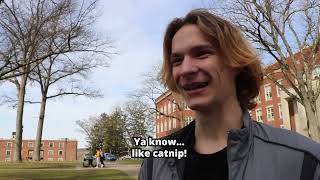 What's Up West Lib - Spring Break Plans
