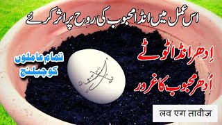 Ande (Egg) Pe Kiya Jane Wala Mohabbat Ka Sab Se Bara Amal Taweez | Ande se kisi ko pagal karna