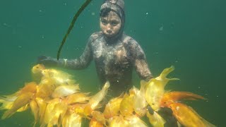 5 JAM MENYELAM BERBURU IKAN RED DEVIL DI DANAU TOBA : MISI MENYELESAIKAN TANTANGAN DARI SUBSCRIBER