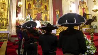 1 HORA con MARIACHIS - MUSICA CATOLICA - Canciones Catolicas   Alabanzas