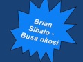 Zimbabwe Gospel: Brian Sibalo - Busa nkosi