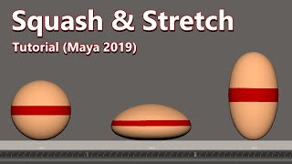 Squash & Stretch - 3D Animation Tutorial (Maya 2019) #3d #animation #tutorial