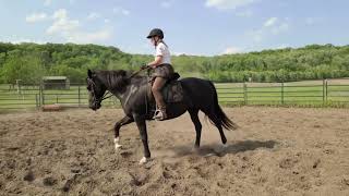 Amelia  Newcomb’s 30 day canter challenge