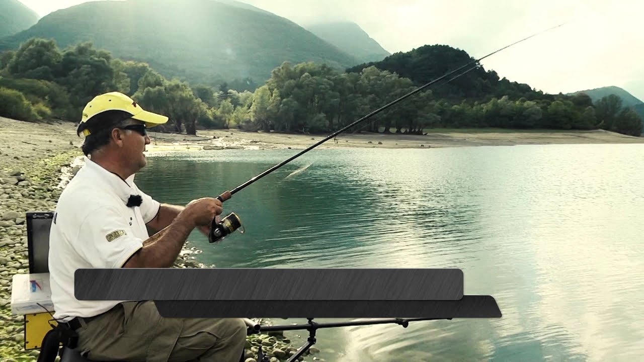 Tubertini Spot Concept Feeder Youtube