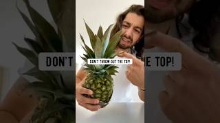 How to grow pineapples using a store-bought pineapple! 🍍 creative explained