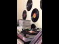Jah Warrior - Babylon shall fall