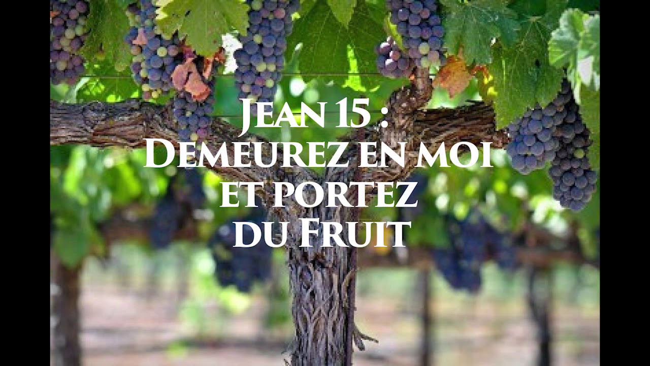 Jean 15 "Je Suis La Vigne, Vous êtes Les Sarments" - YouTube