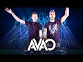 AVAO ▼ TRANSMISSION LIVE