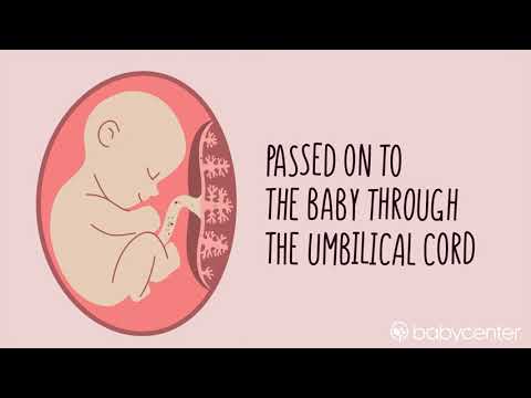 When does a baby start getting nutrients from the umbilical cord?