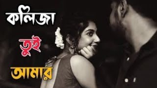 Lokkhishona (কলিজা তুই আমার)💕।Bangla Lofi 🥀॥Hridoy Khan✨॥ Love Bengali Lofi 🖤