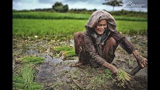 หยาดเหงื่อเพื่อแม่ : เอกพล มนต์ตระการ