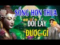 Sống hơn thua đổi lấy được gì ? (Rất Hay) - Lời Phật Dạy