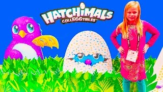 Assistant Finds New CollectEggiblle Hatchimals at 2017 Toy Fair