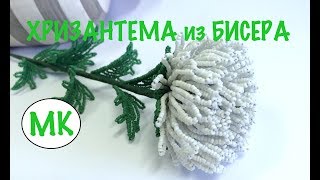 МК: ХРИЗАНТЕМА ИЗ БИСЕРА. #бисероплетение #цветыизбисера. ПОДРОБНЫЙ МК